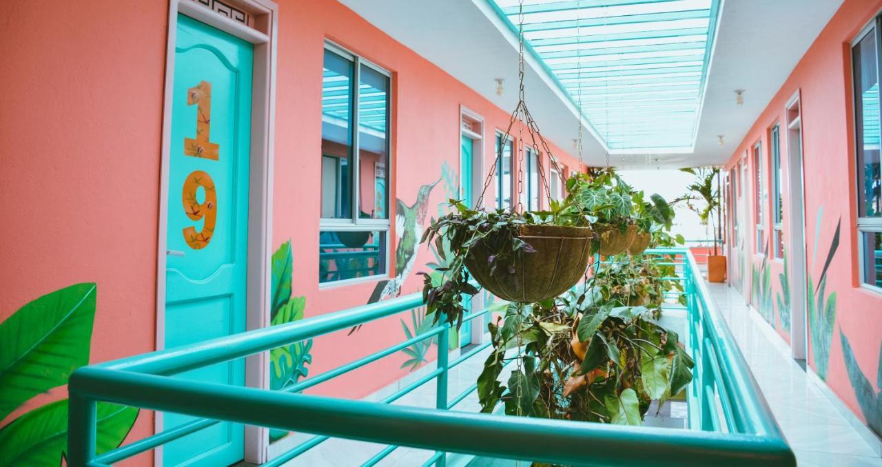 Flamingo Hostel&Coworking Santa Marta  Buitenkant foto